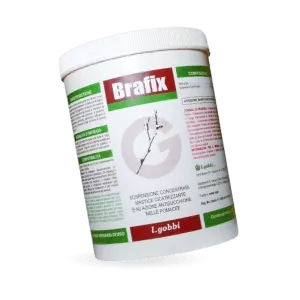 Brafix