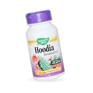 Hoodia