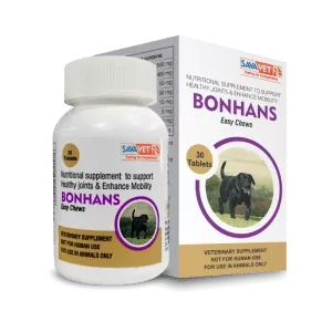 Bonhans