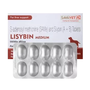Lisybin Medium